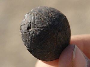 Древнейший глазной протез, обнаруженный в Шахри-Сухте